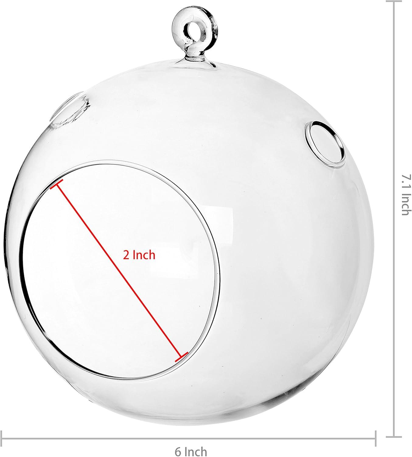 image7Inch Large Clear Glass Hanging Air Plant Terrarium BallVotive Candle Holder wFlat Base ampamp Loop Hook