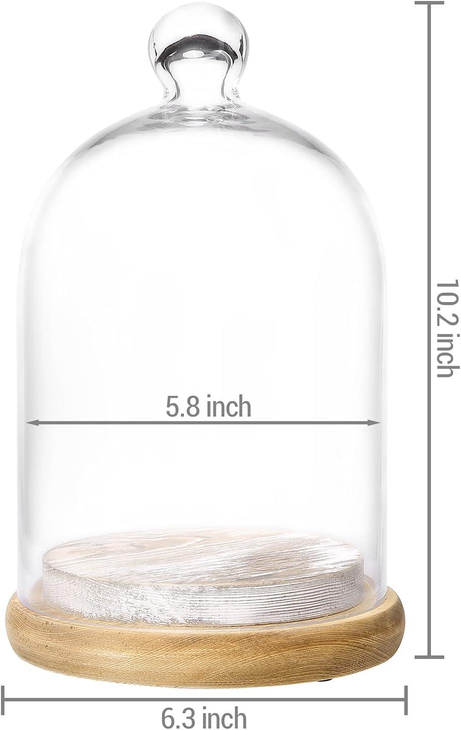imageMyGift 10inch Glass Dome Bell Jar Cloche Display Case Solid Wood Base with Burnt Brown and Whitewashed Finishes