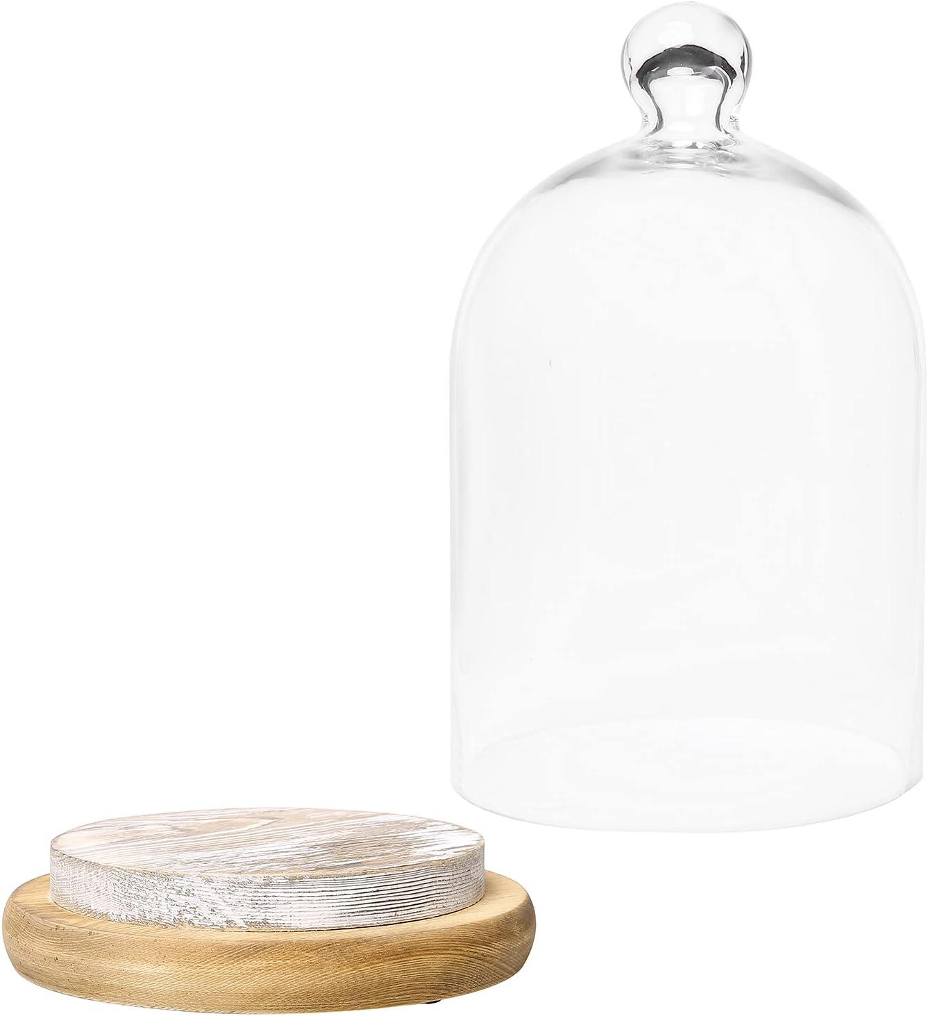 imageMyGift 10inch Glass Dome Bell Jar Cloche Display Case Solid Wood Base with Burnt Brown and Whitewashed Finishes