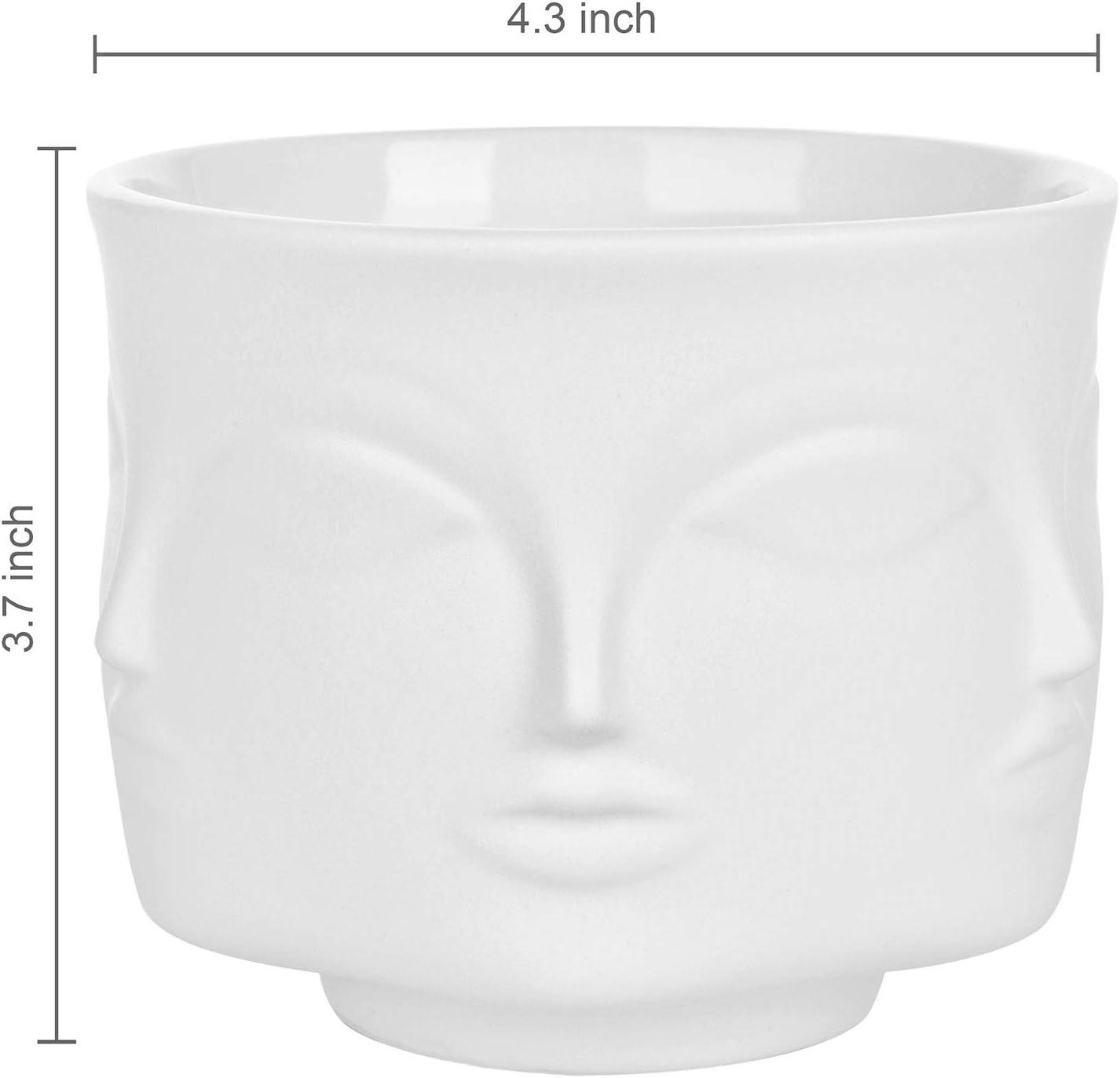 imageMyGift 4Inch White Ceramic Multiple Face Shaped Vase Plant Pot Guanyin Design Small Plants Cactus Succulent Planter