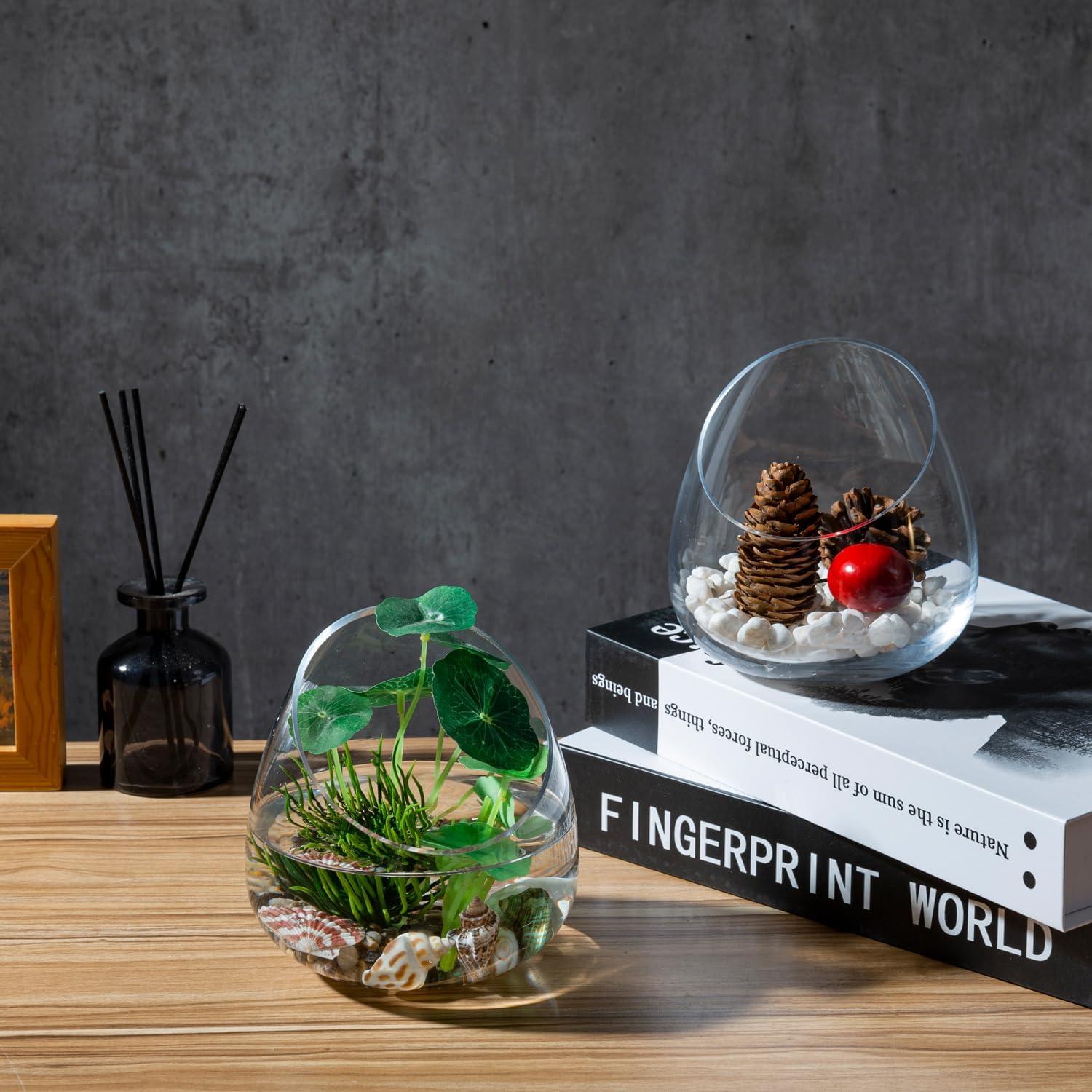imageMyGift 5 Inch Premium Clear Glass Air Plant Terrarium Mini Candy Bowl Jar Tealight Candle Holder Succulent Cactus Plant Vase Set of 2Set of 2