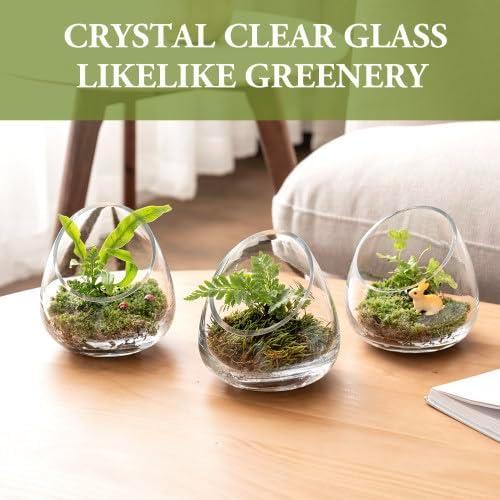 imageMyGift 5 Inch Premium Clear Glass Air Plant Terrarium Mini Candy Bowl Jar Tealight Candle Holder Succulent Cactus Plant Vase Set of 2Set of 4