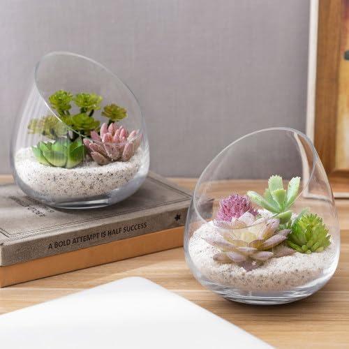 imageMyGift 5 Inch Premium Clear Glass Air Plant Terrarium Mini Candy Bowl Jar Tealight Candle Holder Succulent Cactus Plant Vase Set of 2Set of 4