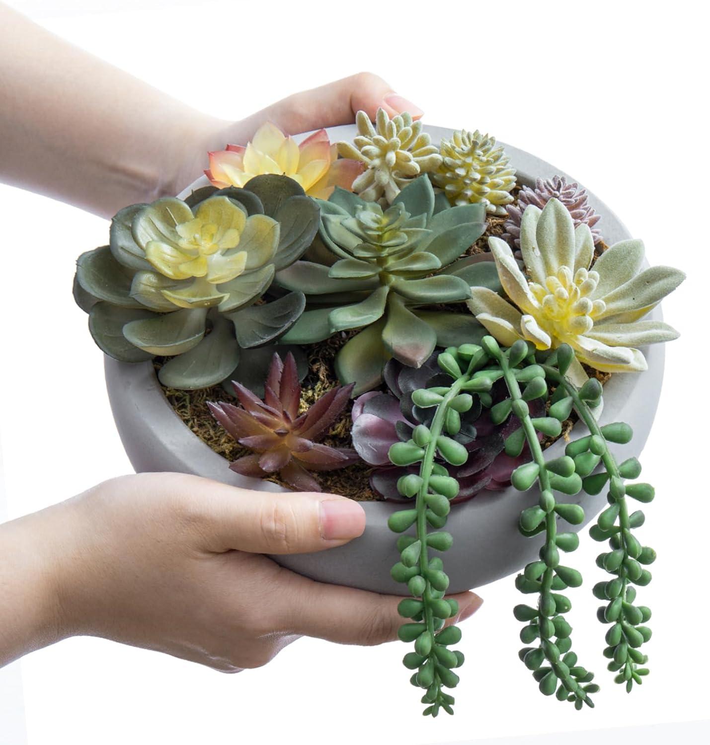 imageMyGift 8 Inch Round Modern Artificial Succulent Arrangement Potted in Gray Concrete Plant Bowl Assorted Faux Mini Succulents in a Decorative Planter PotGrey