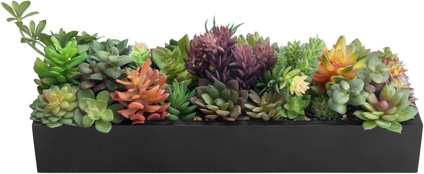 imageMyGift Artificial Succulent Centerpiece1575 Inch Faux Succulents Arrangement Plants in Sleek Black Wooden Rectangular Planter BoxBlack