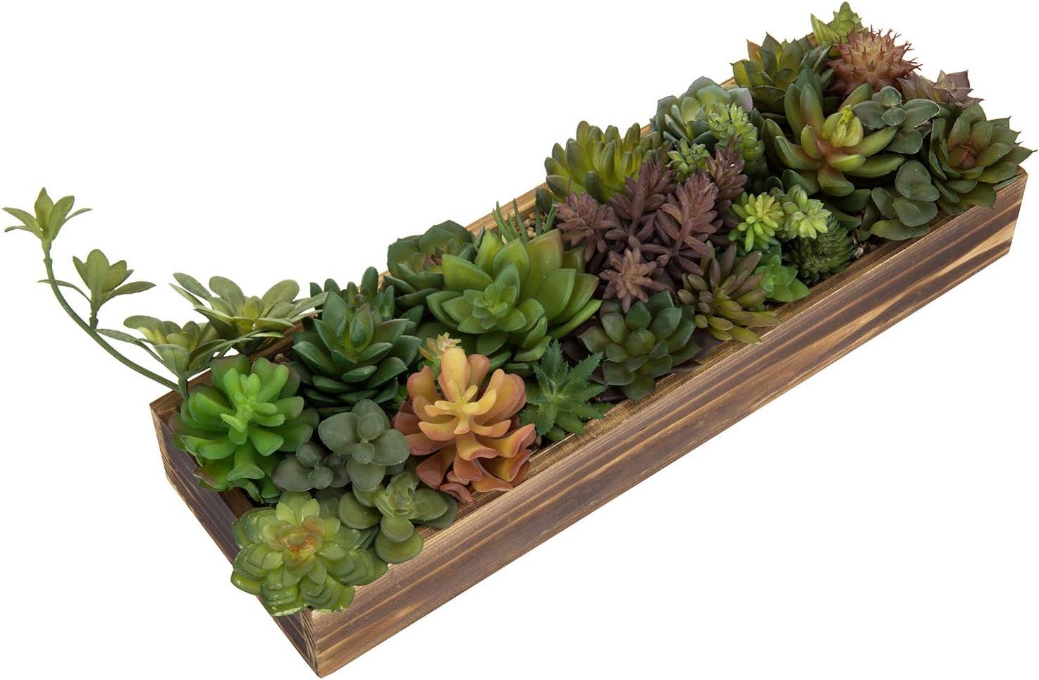 imageMyGift Artificial Succulent Centerpiece1575 Inch Faux Succulents Arrangement Plants in Sleek Black Wooden Rectangular Planter BoxBrown
