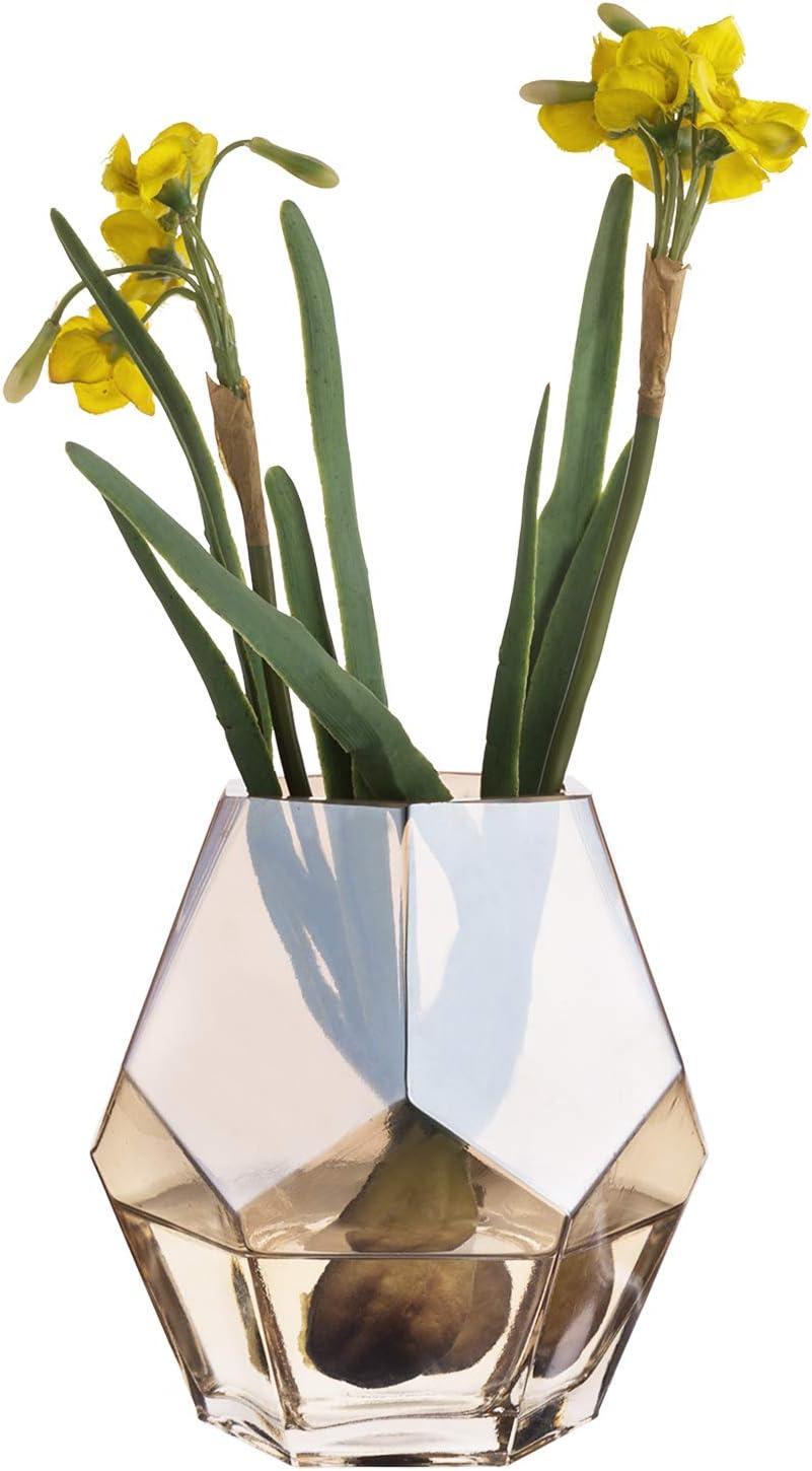 imageMyGift Clear Amber Glass Tabletop Vase Decor Hexagonal MultiFaced Flower Vase