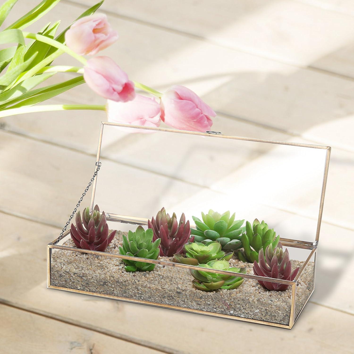 imageMyGift Glass Jewelry Box Vintage Style Brass Metal ampamp Clear Glass Mirrored Shadow Box Jewelry Display Case with Hinged Top LidBrass