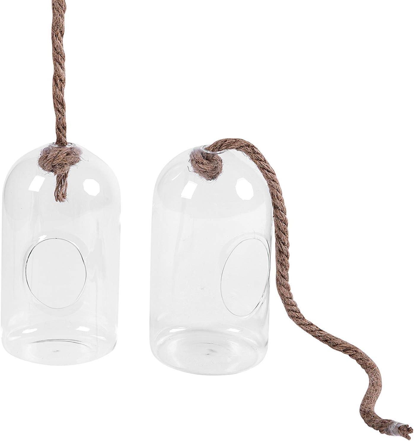 imageMyGift Hanging Planter Plant Terrarium Clear Glass Cylindrical Succulent Holder with Top Knot Hanger Rope Set of 2