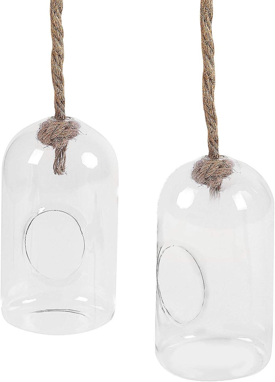 imageMyGift Hanging Planter Plant Terrarium Clear Glass Cylindrical Succulent Holder with Top Knot Hanger Rope Set of 2