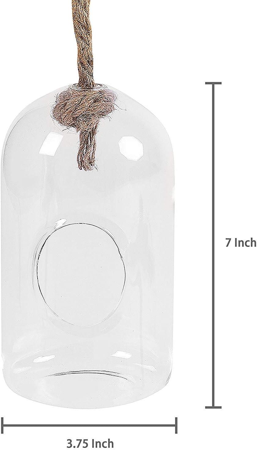 imageMyGift Hanging Planter Plant Terrarium Clear Glass Cylindrical Succulent Holder with Top Knot Hanger Rope Set of 2