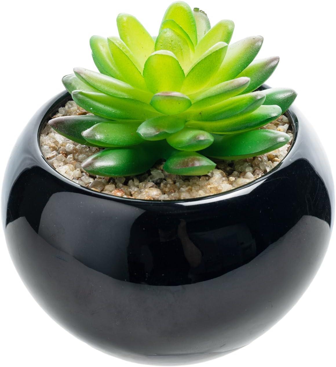 imageMyGift Mini Assorted Artificial Succulents in Round Black Ceramic Pots Mixed Realistic Indoor House Plants Set of 3Black