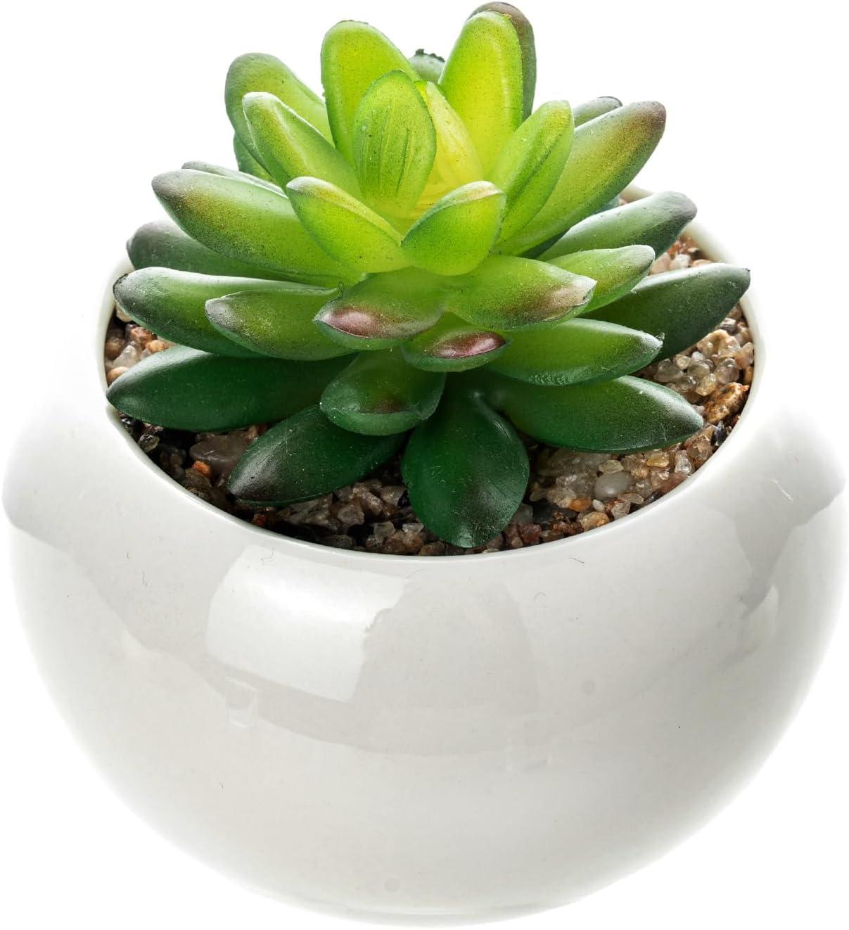 imageMyGift Mini Assorted Artificial Succulents in Round Black Ceramic Pots Mixed Realistic Indoor House Plants Set of 3Glossy White