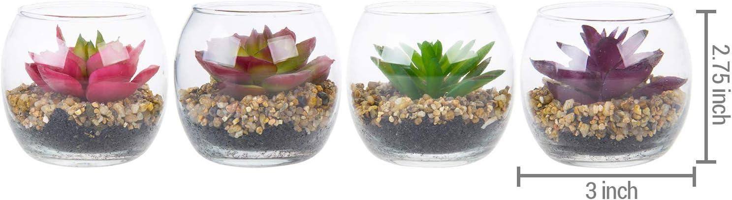 imageMyGift Mini Assorted Fake Succulents Artificial Plants for Home Decor Indoor Plant in Round Glass Display Vases Set of 4