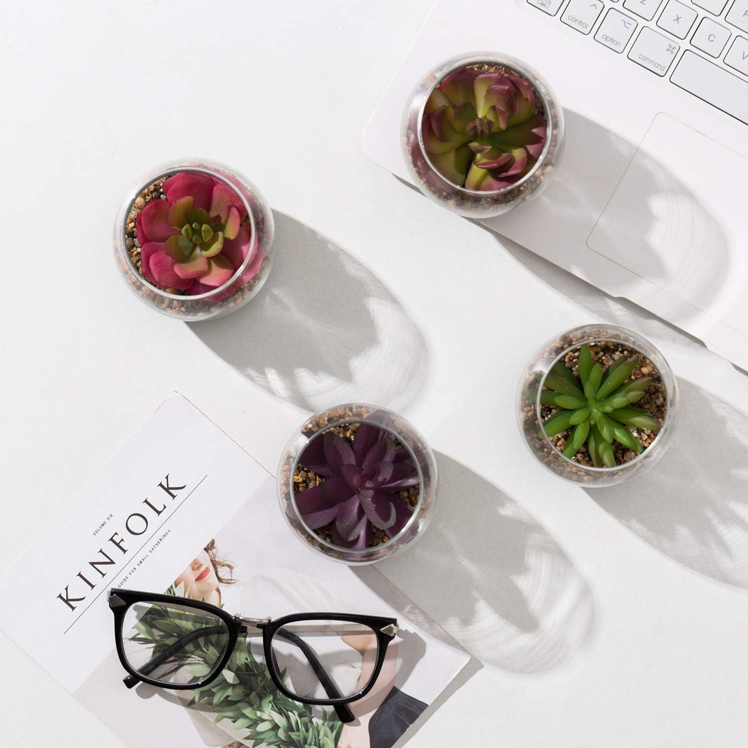 imageMyGift Mini Assorted Fake Succulents Artificial Plants for Home Decor Indoor Plant in Round Glass Display Vases Set of 4
