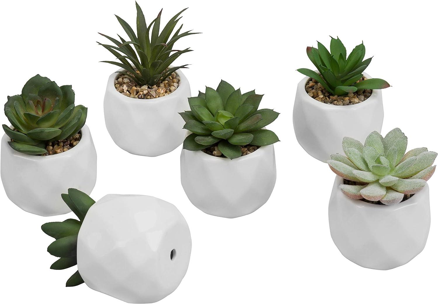 imageMyGift Miniature Artificial Succulents Indoor Fake House Plants in Round White Geometric Ceramic Pots Set of 4White Set of 6
