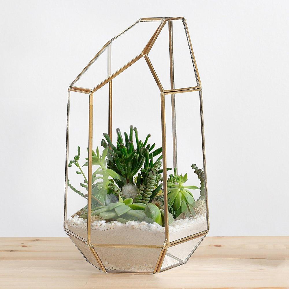 image9 Inch Modern Polygonal BrassFramed and Glass Tabletop Succulent Plant Terrarium Curio