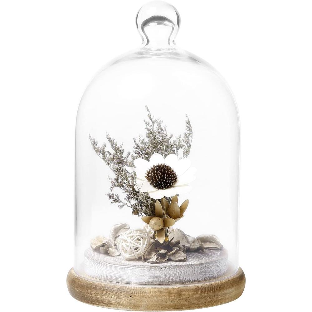 imageMyGift 10inch Glass Dome Bell Jar Cloche Display Case Solid Wood Base with Burnt Brown and Whitewashed Finishes