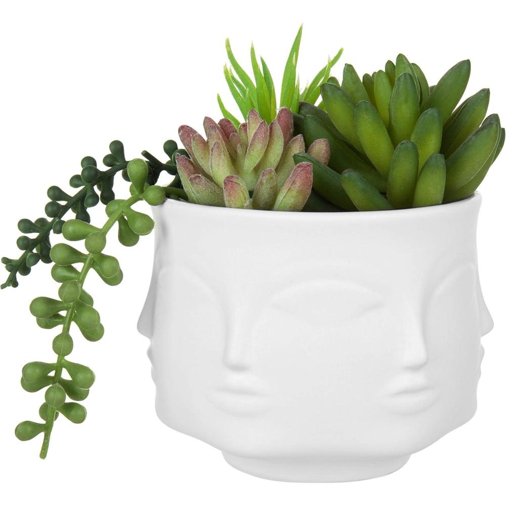 imageMyGift 4Inch White Ceramic Multiple Face Shaped Vase Plant Pot Guanyin Design Small Plants Cactus Succulent Planter