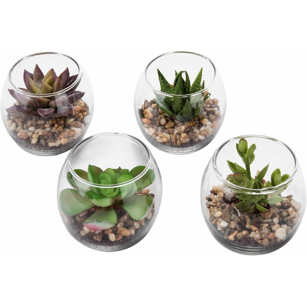imageMyGift Assorted Artificial Succulent Fake Plant in Small Clear Glass Display Vases Set of 4