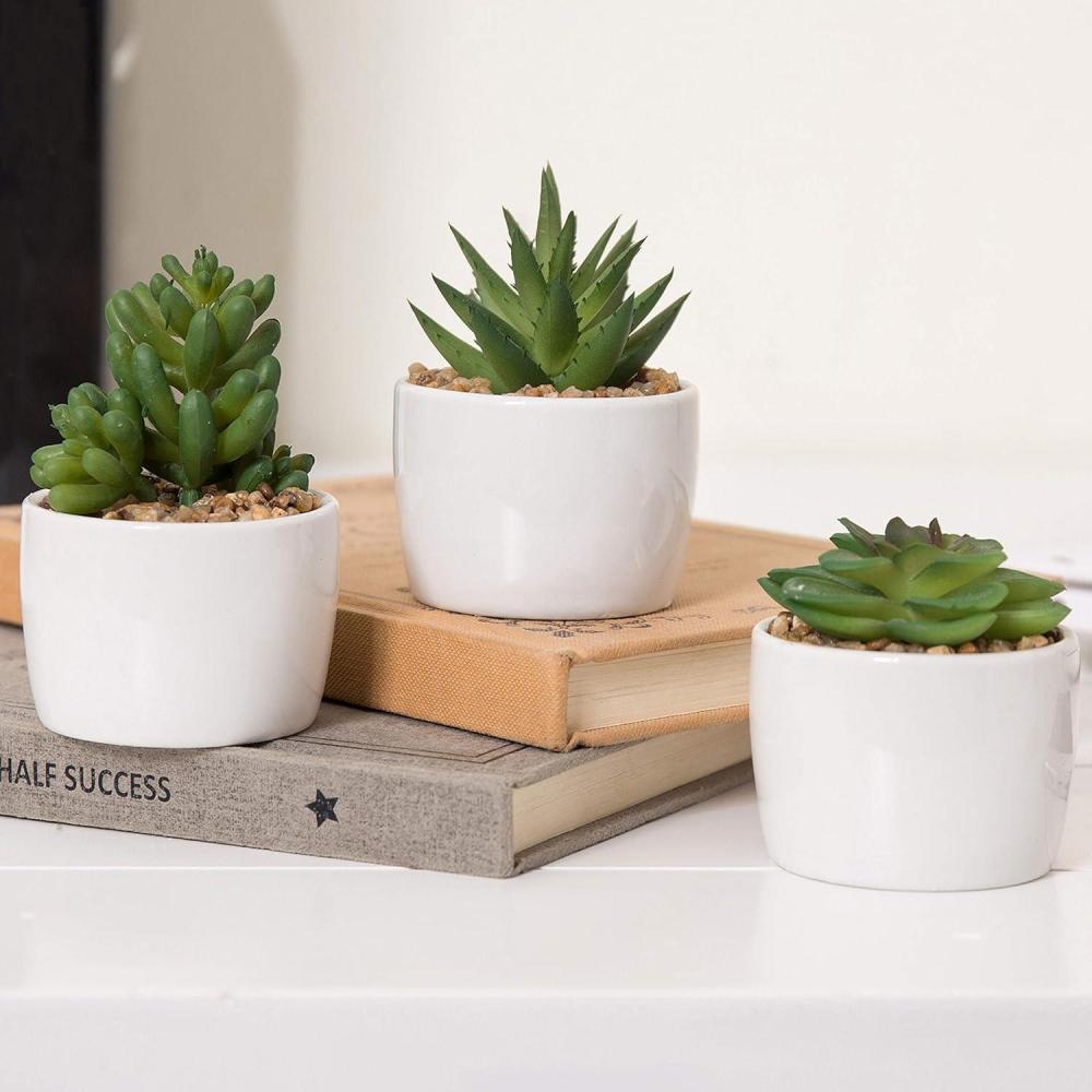 imageMyGift Mini Artificial Succulent Plants Fake Indoor House Plants Living Room Decoration in Modern White Round Ceramic Pots Set of 3
