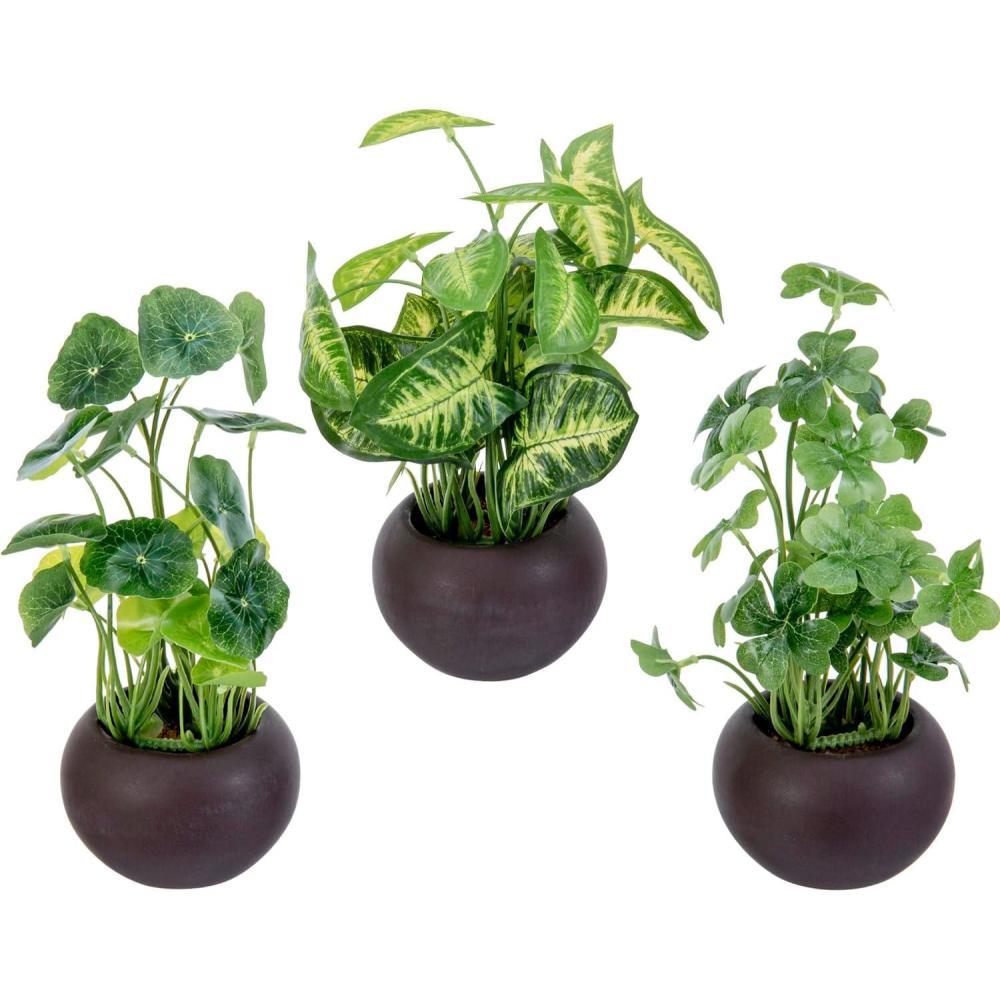 imageMyGift Mini Assorted Artificial Succulents in Round Black Ceramic Pots Mixed Realistic Indoor House Plants Set of 3Brown Green Leaf