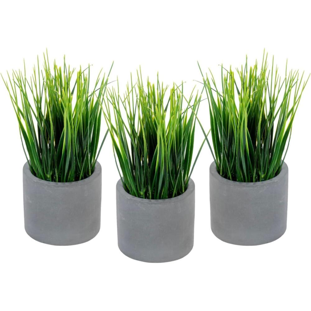 imageMyGift Mini Assorted Artificial Succulents in Round Black Ceramic Pots Mixed Realistic Indoor House Plants Set of 3Dark Gray Cylindrical