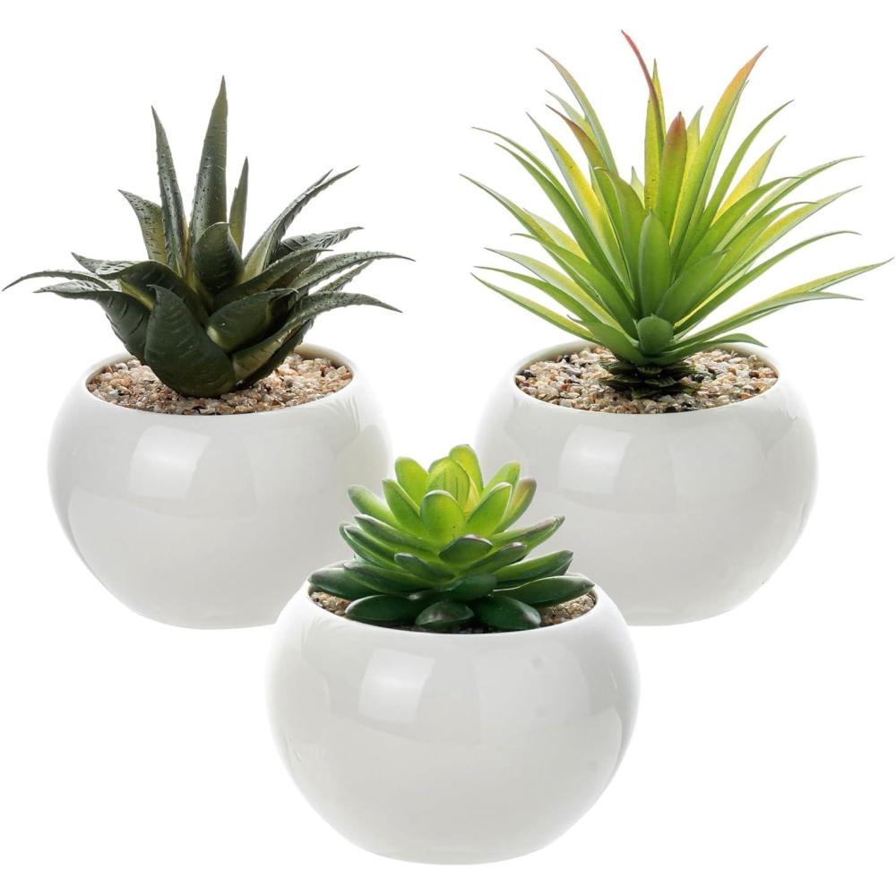 imageMyGift Mini Assorted Artificial Succulents in Round Black Ceramic Pots Mixed Realistic Indoor House Plants Set of 3Glossy White