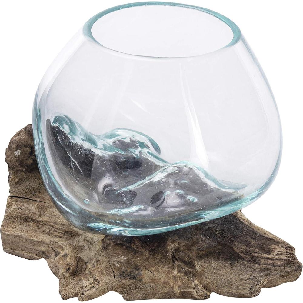 imageMyGift Mini Natural Driftwood ampamp Molten Glass Bowl Tabletop Plant Terrarium