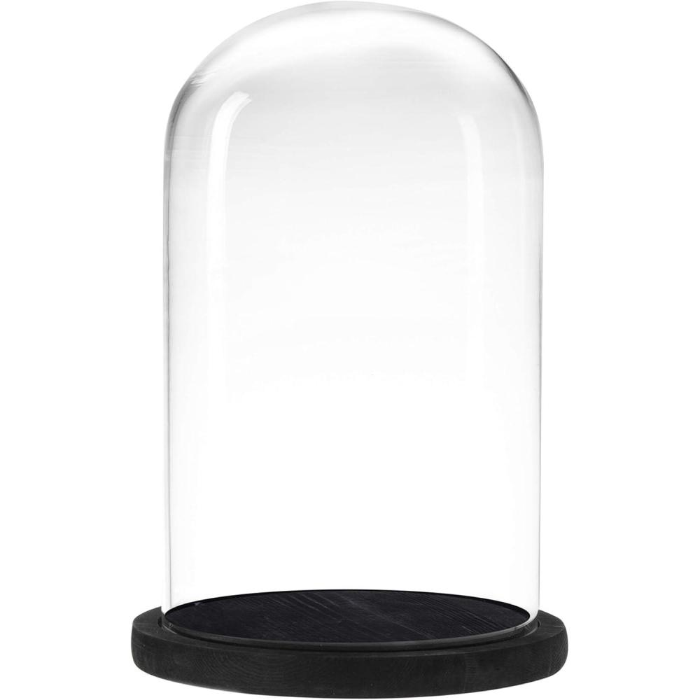 imageMyGift The Bell Jar Glass Cloche with Rustic Wood Base 10 Inch Tall Clear Decorative Glass Dome Display for Plants Curios Keepsakes HeirloomsBlack