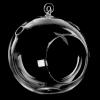 7-Inch Large Clear Glass Hanging Air Plant Terrarium Ball/Votive Candle Holder w/Flat Base & Loop Hook