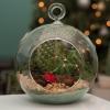 7-Inch Large Clear Glass Hanging Air Plant Terrarium Ball/Votive Candle Holder w/Flat Base & Loop Hook