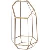 9 Inch Modern Polygonal Brass-Framed and Glass Tabletop Succulent Plant Terrarium Curio