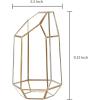 9 Inch Modern Polygonal Brass-Framed and Glass Tabletop Succulent Plant Terrarium Curio