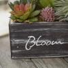 MyGift 10 Inch Artificial Succulent Small Fake Plant Arrangement in Rustic Brown Planter Box with Decorative Bloom & Grow Cursive Writing