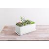 MyGift 10 Inch Modern Unglazed White Ceramic Indoor Plant Pot with Drainage Hole, Rectangular Succulent Planter Window Box with Removable Saucer, 1 Pack(10 inch – 1 Pack)