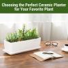 MyGift 10 Inch Modern Unglazed White Ceramic Indoor Plant Pot with Drainage Hole, Rectangular Succulent Planter Window Box with Removable Saucer, 1 Pack(14 inch – 1 Pack)