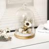 MyGift 10-inch Glass Dome Bell Jar Cloche Display Case, Solid Wood Base with Burnt Brown and Whitewashed Finishes