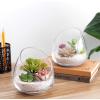 MyGift 5 Inch Premium Clear Glass Air Plant Terrarium, Mini Candy Bowl Jar, Tealight Candle Holder, Succulent Cactus Plant Vase, Set of 2(Set of 2)