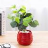 MyGift 5.5 Inch Modern Red Ceramic Plant Pot with Drainage Hole and Decorative Wavy Design, Small Succulent Planter Container(Red)