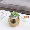 MyGift 6-Inch Brushed Brass Plated Metal Table Vase – Round Bowl-Shaped Succulent Planter Pot – Handcrafted in India