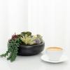 MyGift 8 Inch Round Modern Artificial Succulent Arrangement Potted in Gray Concrete Plant Bowl, Assorted Faux Mini Succulents in a Decorative Planter Pot(Black)
