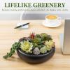 MyGift 8 Inch Round Modern Artificial Succulent Arrangement Potted in Gray Concrete Plant Bowl, Assorted Faux Mini Succulents in a Decorative Planter Pot(Black)