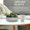MyGift 8 Inch Round Modern Artificial Succulent Arrangement Potted in Gray Concrete Plant Bowl, Assorted Faux Mini Succulents in a Decorative Planter Pot(Dark Grey)