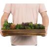 MyGift Artificial Succulent Centerpiece,15.75 Inch Faux Succulents Arrangement Plants in Sleek Black Wooden Rectangular Planter Box(Brown)