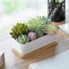 MyGift Artificial Succulent Centerpiece,15.75 Inch Faux Succulents Arrangement Plants in Sleek Black Wooden Rectangular Planter Box(White（wood Tray）)