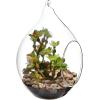 MyGift Artificial Succulent Plant in Hanging Glass Teardrop Terrarium Ornament, Decorative 6-Inch Clear Globe Vase