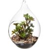 MyGift Artificial Succulent Plant in Hanging Glass Teardrop Terrarium Ornament, Decorative 6-Inch Clear Globe Vase