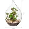 MyGift Artificial Succulent Plant in Hanging Glass Teardrop Terrarium Ornament, Decorative 6-Inch Clear Globe Vase