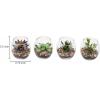 MyGift Assorted Artificial Succulent Fake Plant in Small Clear Glass Display Vases, Set of 4